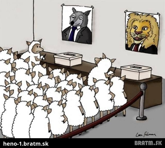 politika
