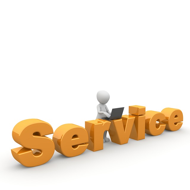 servis