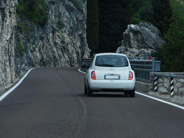 cesta